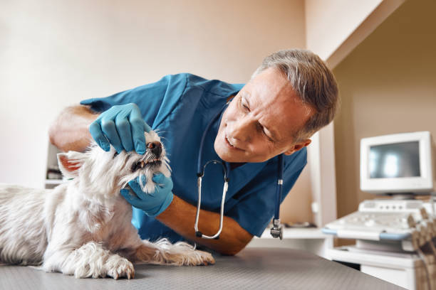 Best Walk-In Emergency Dentist in Newton, TX